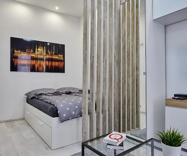 Cozy Little In Downtown Apartament Budapesta