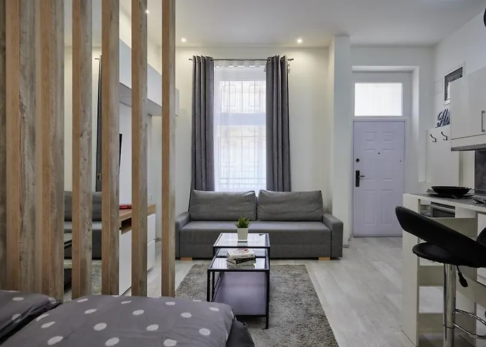 Cozy Little In Downtown Apartament *